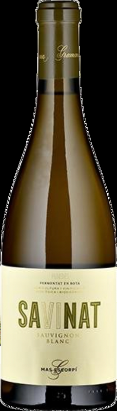 Savinat Gramona - 2024 - Katalonien, Spanien