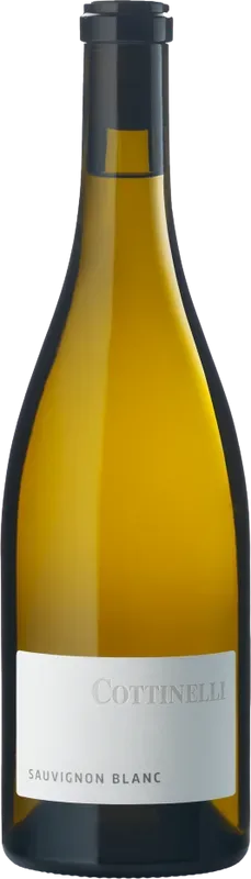 Sauvignon Blanc Maienfeld AOC Cottinelli - 2024 - Bündner Herrschaft, Schweiz