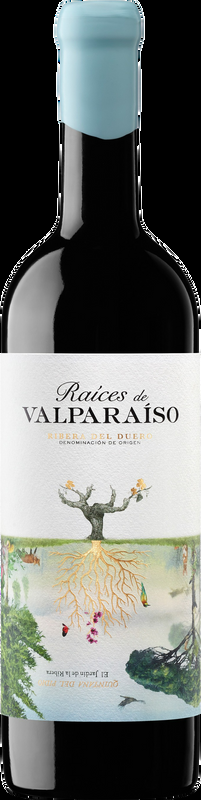 Raices De Valparaiso Do Bodegas Valparaiso - 2021 - Duero-Tal (Castilla y Leon), Spanien