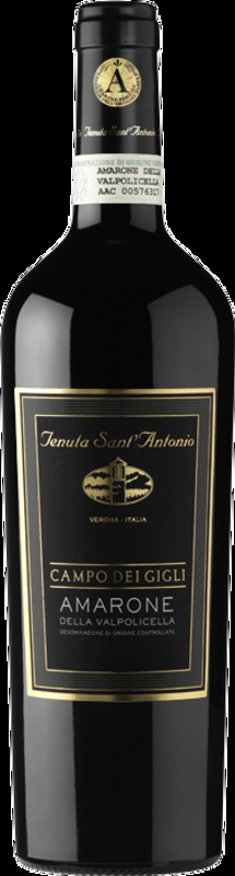 Amarone dV DOC Campo dei Gigli Tenuta Sant'Antonio - 2016 - Veneto, Italien