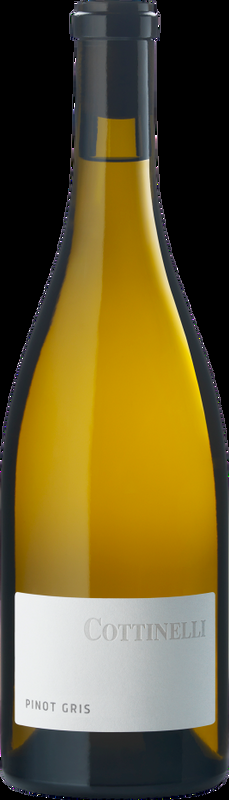 Pinot Gris Malans AOC Cottinelli - 2024 - Bündner Herrschaft, Schweiz