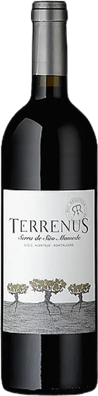 Terrenus Rui Reguinga Enologia Lda - 2022 - Alentejo, Portugal