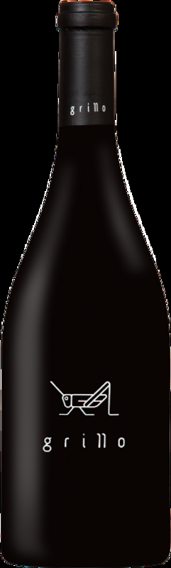 Somontano DO Hop Hop tinto Bodegas El Grillo y la Luna - 2022 - Somontano, Spanien
