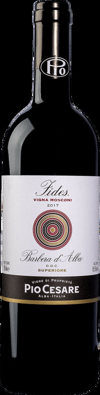 Barbera d'Alba Fides DOC Pio Cesare - 2022 - Piemont, Italien