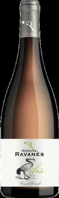 L'Ibis Blanc VDP C.d.Murviel Domaine de Ravanès - 2023 - Midi - Languedoc-Roussillon, Frankreich