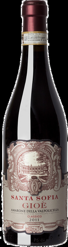 Gioe Amarone della Valpolicella Classico DOC Santa Sofia - 2016 - Veneto, Italien