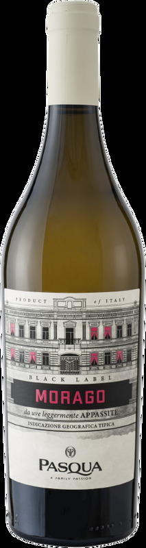 Black Label Morago Bianco Veneto IGT Pasqua - 2024 - Veneto, Italien