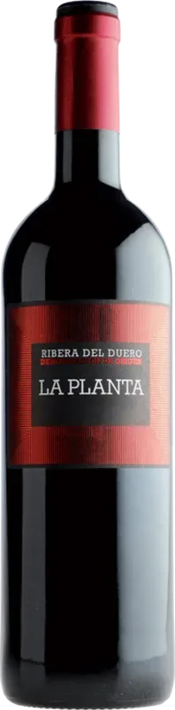 La Planta Ribera del Duero DO Bodegas Arzuaga Navarro - 2024 - Duero-Tal (Castilla y Leon), Spanien