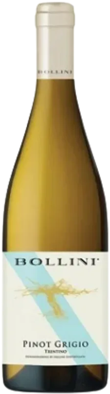 Pinot Grigio Vigneti delle Dolomiti IGT Bollini - 2024 - Trentino, Italien