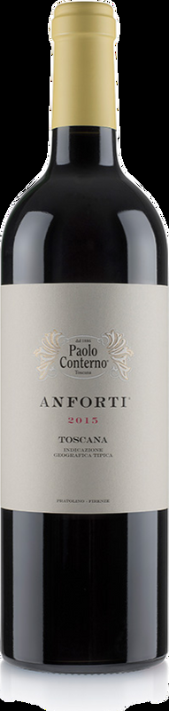 Anforti Paolo Conterno - 2021 - Toskana, Italien