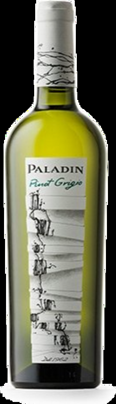 Pinot Grigio Cantina Paladin - 2024 - Veneto, Italien
