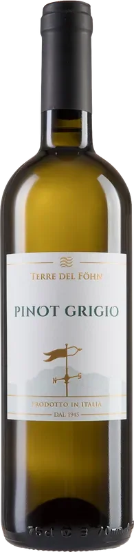 Terre del Föhn Pinot Grigio Vigna delle Dolomiti IGT Cantine Monfort - 2022 - Trentino, Italien