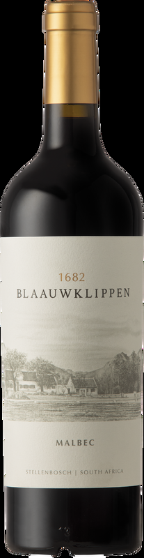Malbec Blaauwklippen Agricultures Estate - 2022 - Coastal Region, Südafrika