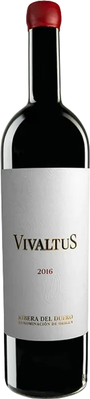Vivaltus Ribera Del Duero Bodega Vivaltus - 2017 - Duero-Tal (Castilla y Leon), Spanien