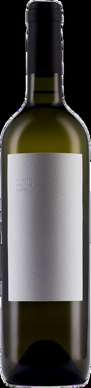 Vugava Stina - 2023 - Dalmatien, Kroatien