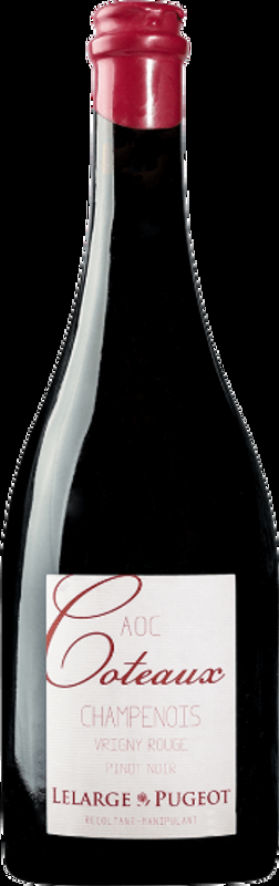 Coteaux Champenois Vrigny Rouge Lelarge-Pugeot - 2014 - Champagne, Frankreich
