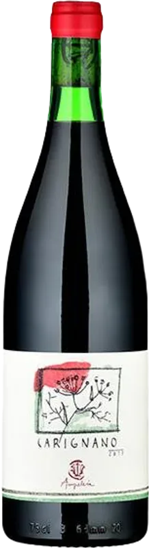 Carignano IGT Costa Toscana Rosso Bio Ampeleia - 2019 - Toskana, Italien