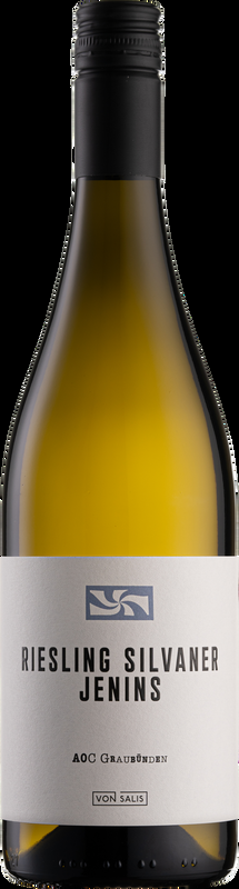 Jeninser Riesling Silvaner AOC Weinbau von Salis - 2024 - Bündner Herrschaft, Schweiz