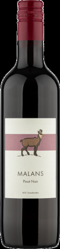 Malans Pinot Noir AOC Graubünden Rutishauser-Divino - Bündner Herrschaft, Schweiz