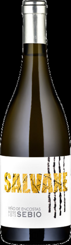 Salvaxe Xose Lois Sebio - 2018 - Spanien