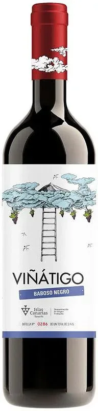 Baboso Negro Ycoden Daute Isora D.O. Bodegas Viñatigo - 2023 - Spanien