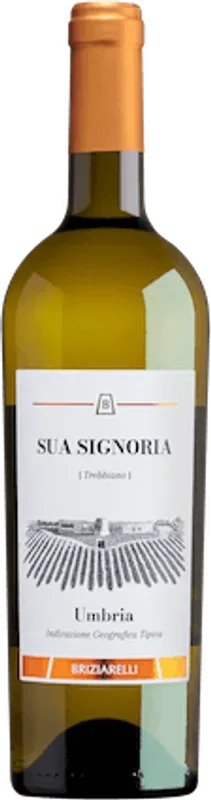Sua Signoria Umbria Bianco IGT Briziarelli - 2024 - Umbrien, Italien