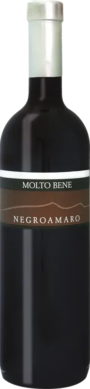Molto Bene Negroamaro Puglia IGP Molto Bene - 2019 - Apulien, Italien
