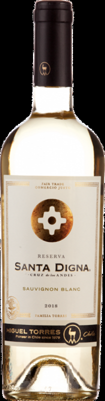 Santa Digna Sauvignon Blanc Curico Familia Torres - 2023 - Valle Central, Chile