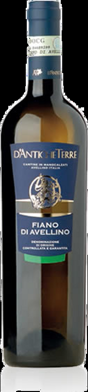 Fiano di Avellino DOCG D'Antiche Terre - 2024 - Kampanien, Italien