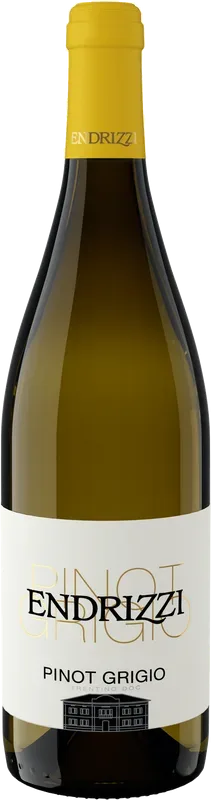 Pinot Grigio Trentino DOC Serpaia di Endrizzi - 2024 - Trentino, Italien