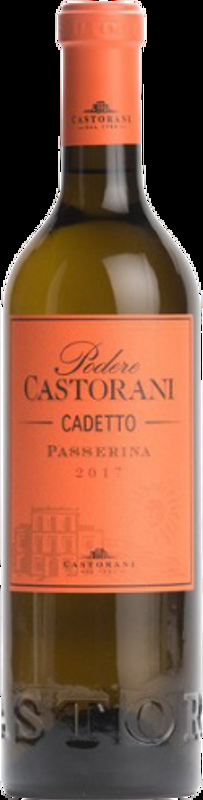 Passerina Colline Pescaresi IGT Cadetto Podere Castorani Podere Castorani - 2022 - Toskana, Italien