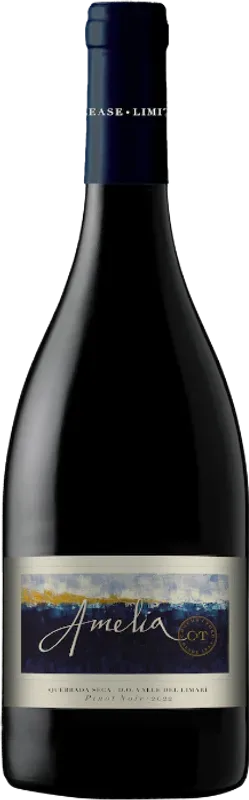 Amelia Pinot Noir Valle del Limari DO Concha y Toro - 2022 - Chile
