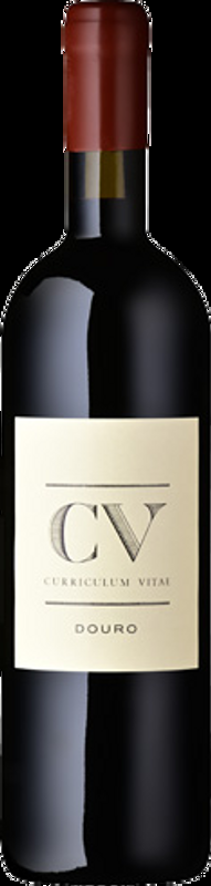 CV Curriculum Vitae rot Van Zellers & Co - 2021 - Douro, Portugal