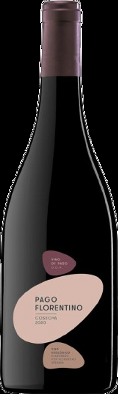 Pago Florentino DOP Bodegas Arzuaga Navarro - 2020 - Duero-Tal (Castilla y Leon), Spanien