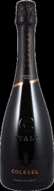 Noai Brut Colesel Spumanti - Veneto, Italien