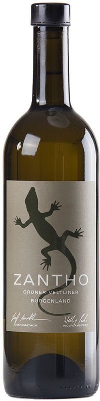 Gruner Veltliner Weingut Zantho - 2024 - Burgenland, Österreich