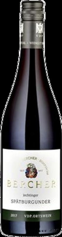 Jechtinger Spätburgunder Weingut Bercher - 2021 - Baden, Deutschland