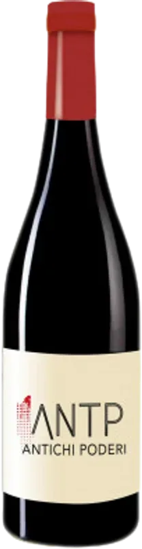 Ticino DOC Merlot ANTP Antichi Poderi Rosso Castello di Cantone - 2025 - Tessin, Schweiz