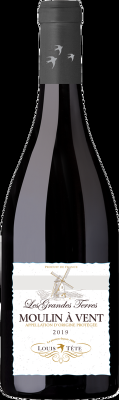Louis Tete Moulin-a-Vent AOC Louis Tête - 2023 - Burgund, Frankreich
