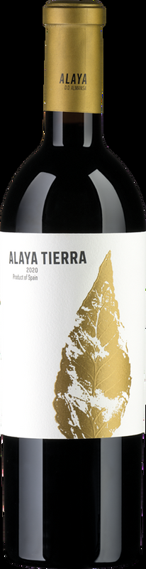 ALAYA 