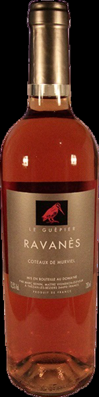 Le Guepier IGP C.d.Murviel Domaine de Ravanès - 2024 - Midi - Languedoc-Roussillon, Frankreich