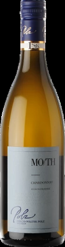 Chardonnay Moth, Ried Theresienhöhe Erich & Walter Polz - 2022 - Steiermark, Österreich