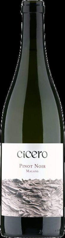 Cicero Pinot Noir Malans AOC Graubünden Rutishauser-Divino - 2024 - Bündner Herrschaft, Schweiz