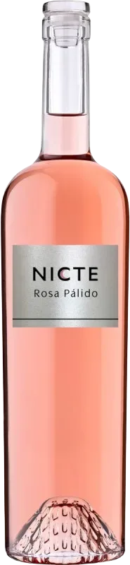 Nicte Rosa Pàlido Castilla y León VdT Avelino Vegas - 2025 - Duero-Tal (Castilla y Leon), Spanien