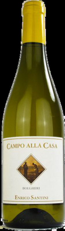 Campo alla Casa Bolgheri Bianco DOC Enrico Santini - 2024 - Toskana, Italien