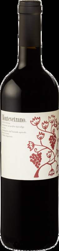 Montevetrano Colli Di Salerno IGT Montevetrano - 2015 - Kampanien, Italien
