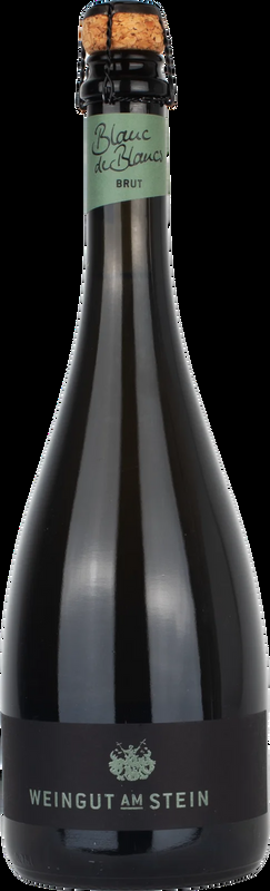 Blanc de Blancs Brut Weingut am Stein - 2019 - Franken, Deutschland