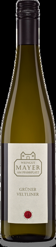 Grüner Veltliner Wien österr. Qualitätswein Weingut Mayer am Pfarrplatz - 2025 - Wien, Österreich