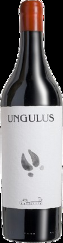 Ticino DOC Sauvignon Blanc Riserva Ungulus Castello di Cantone - 2020 - Tessin, Schweiz