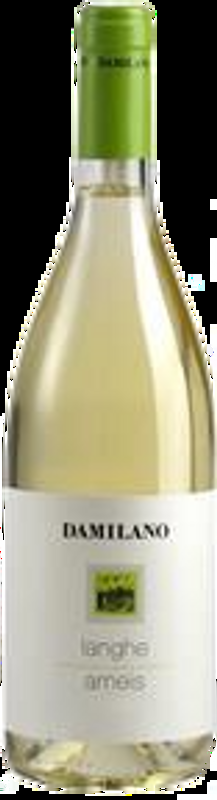 Arneis Langhe DOC Damilano - 2024 - Piemont, Italien